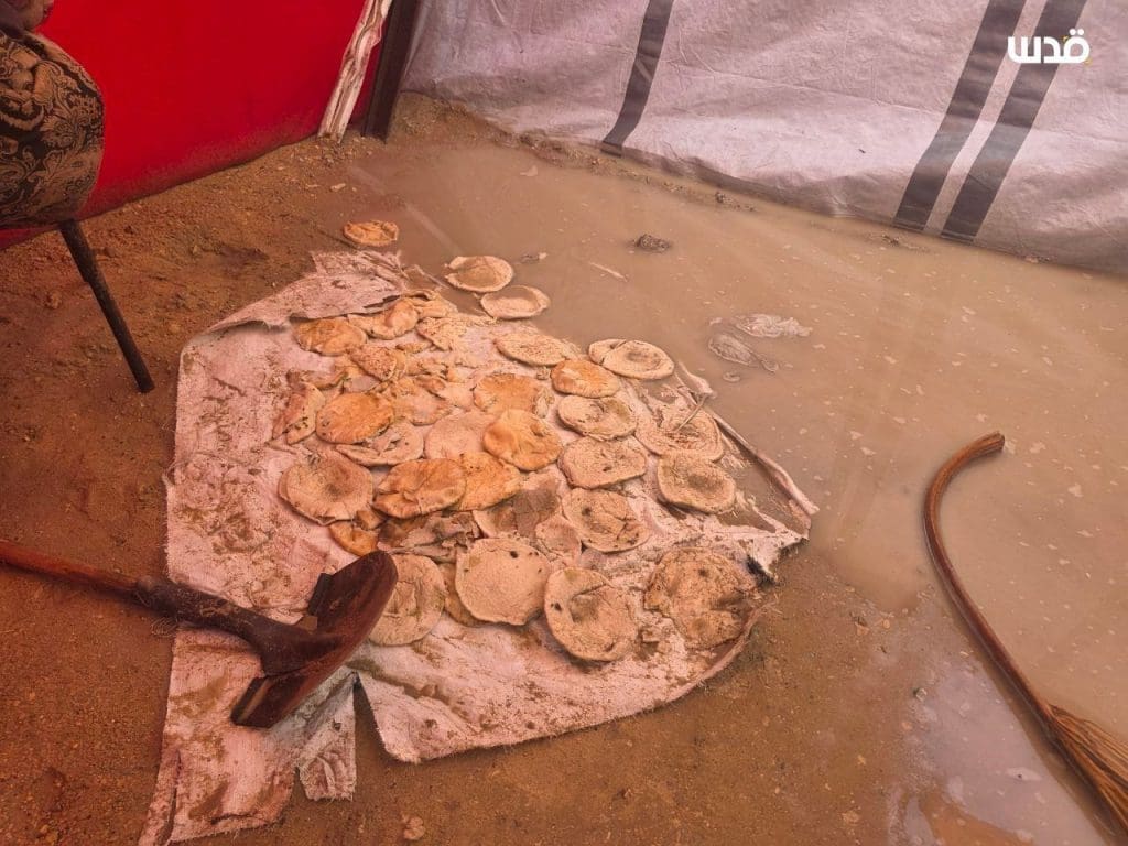 photo 2025 11 15 12 54 52