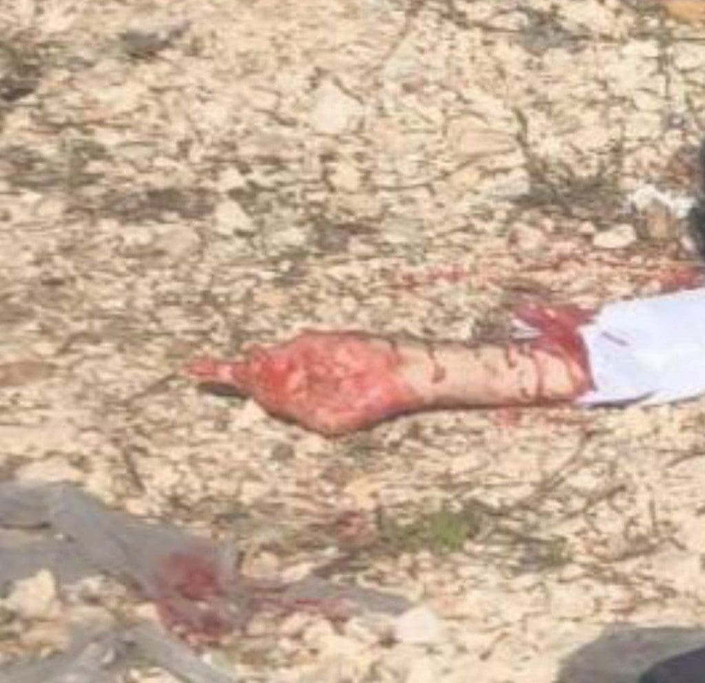 photo 2025 11 21 20 49 29