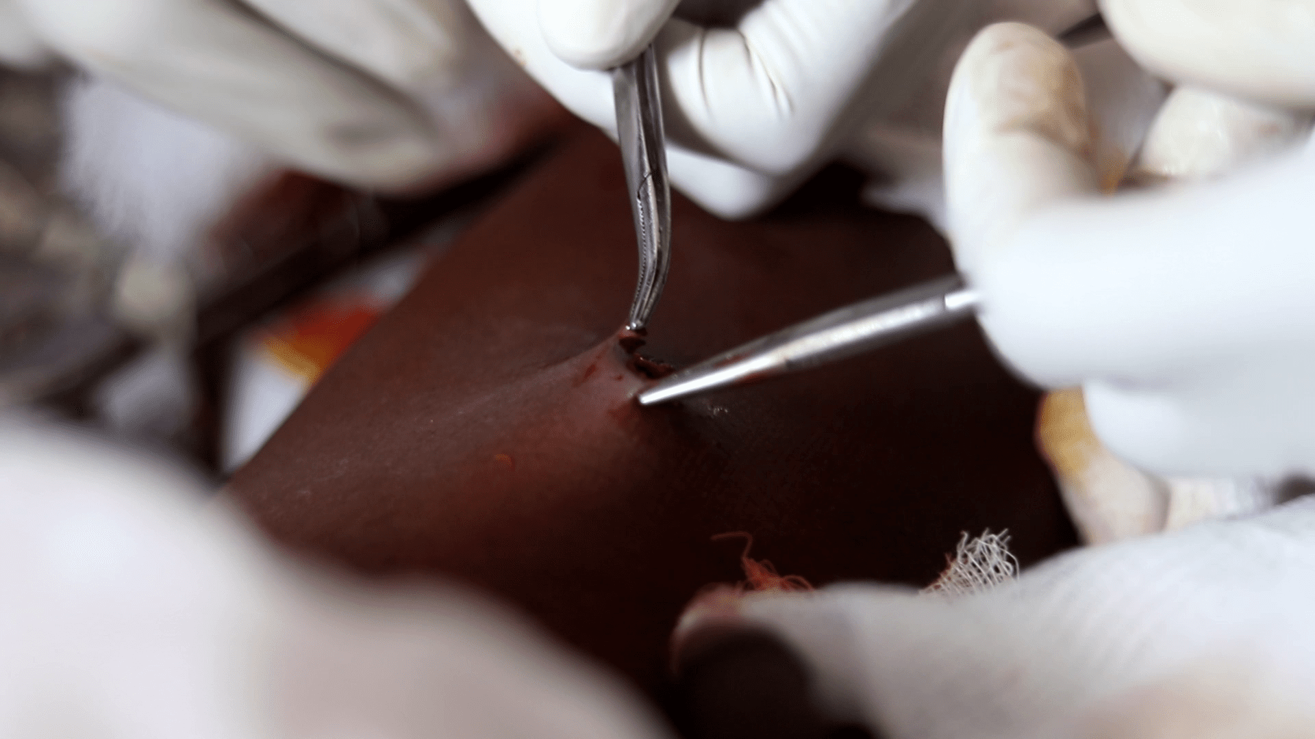 vlcsnap 2025 11 16 09h26m16s640