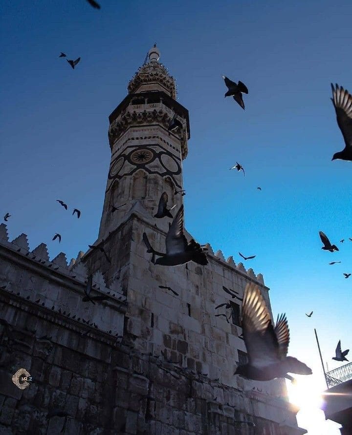 2819f02e436a1e7584800486e6046b8a