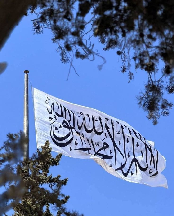 50f56974c4c9aecb2a06282479394057