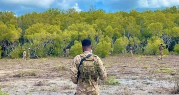 مقتل أكثر من 30 مدنيا وإصابة أكثر من 100 آخرين في غارة للقوات الخاصة الصومالية المدرّبة من الولايات المتحدة في الصومال 17 IMG 20251213 134203