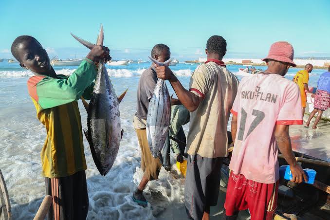 تركيا تتجه للهيمنة على قطاع الصيد في الصومال 1 images 2025 12 19T104357.563