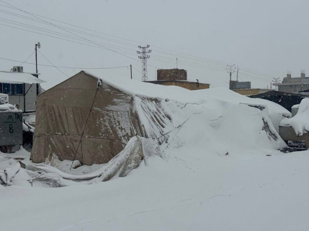 photo 2026 01 04 04 10 07