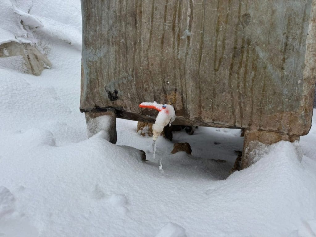 photo 2026 01 04 04 10 11