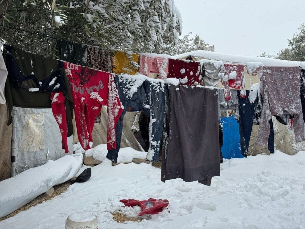 photo 2026 01 04 04 10 15