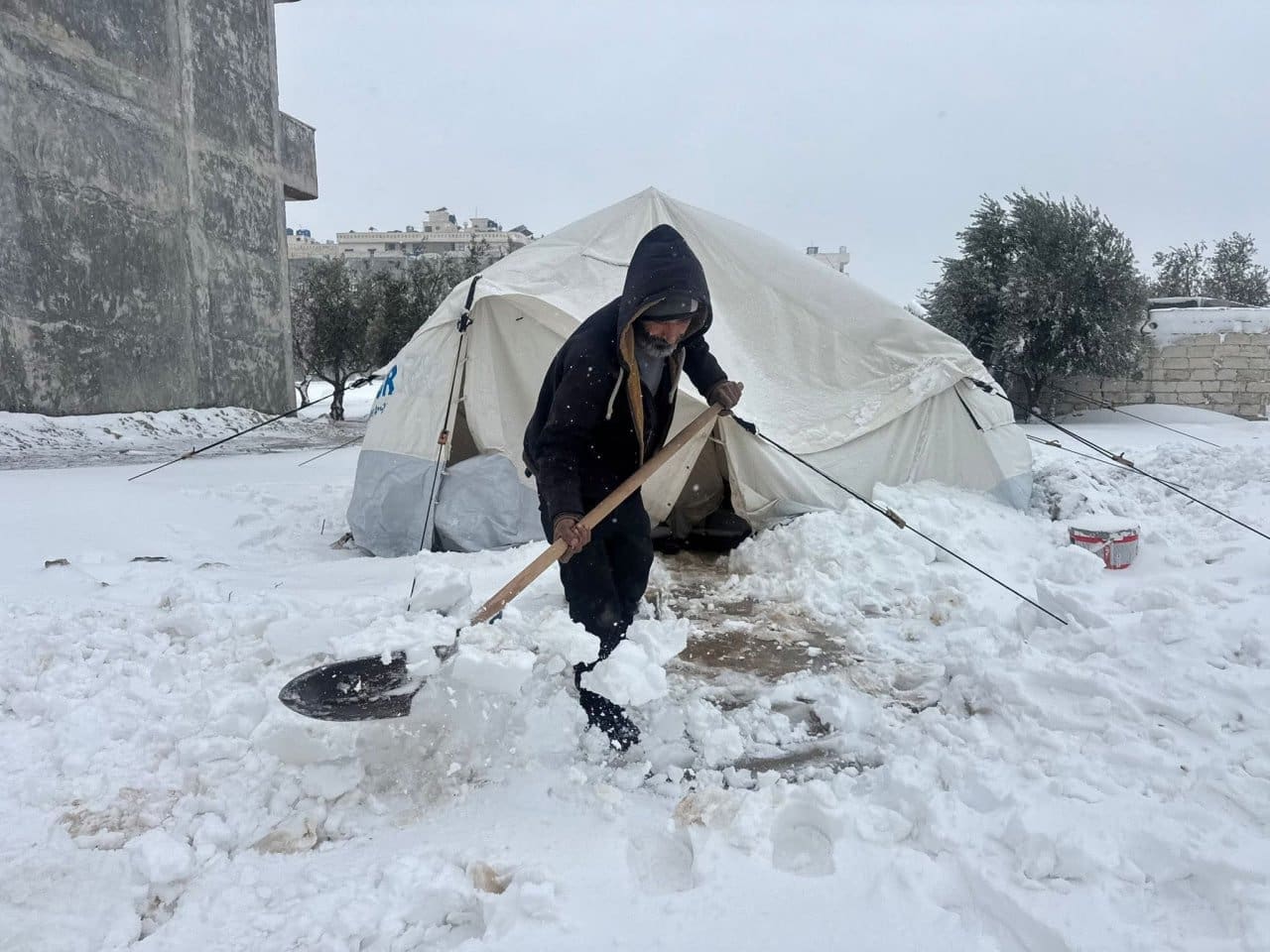 photo 2026 01 04 04 10 18