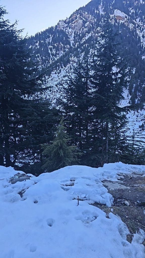 photo 2026 01 20 09 36 31
