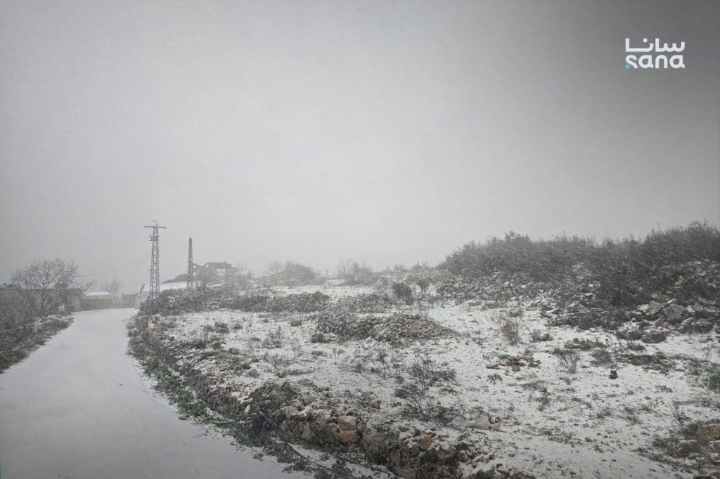 photo 2026 01 20 09 37 47