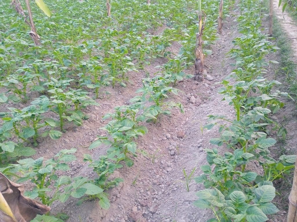 photo 2026 01 20 10 46 45