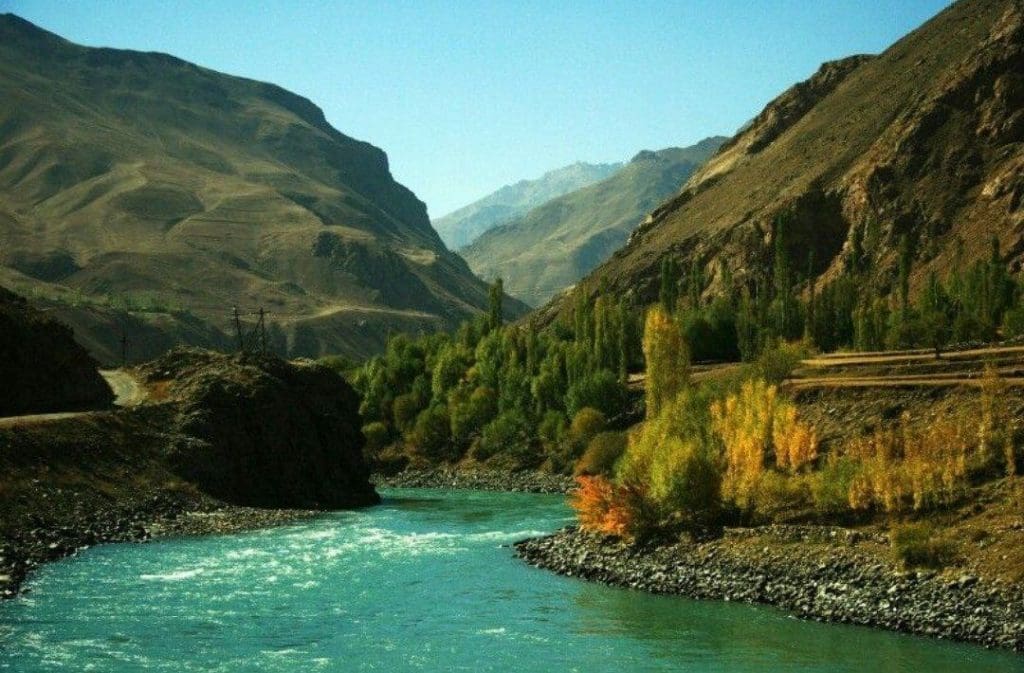 photo 2026 01 20 11 10 00