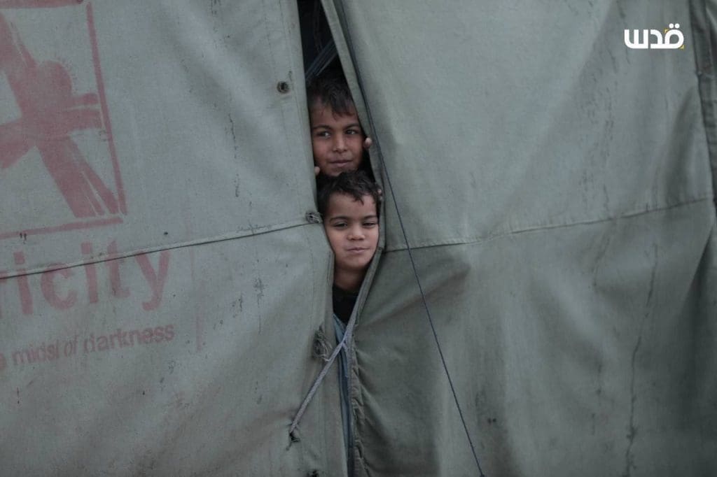 photo 2026 01 20 11 16 08