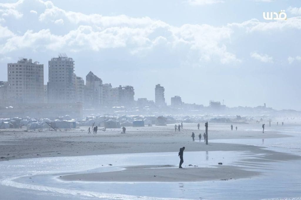 photo 2026 01 20 11 16 18