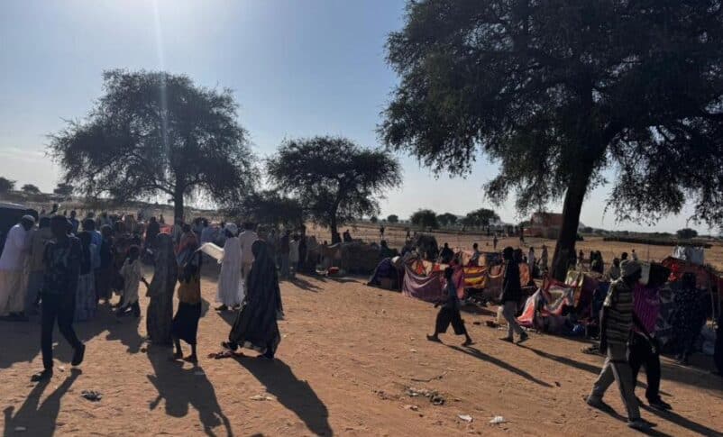 نازحو دارفور يواجهون أوضاعًا «مأساوية» مع اقتراب المجاعة 9 نازحو دارفور يواجهون أوضاعًا «مأساوية» مع اقتراب المجاعة