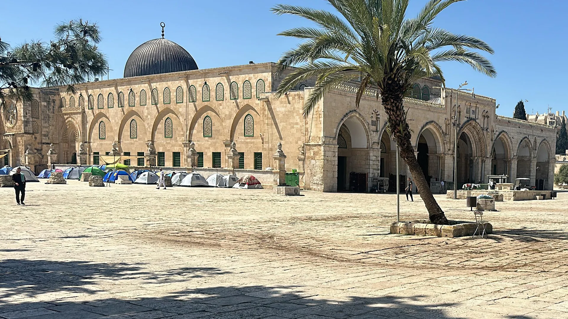 IMG 20240404 WA0033 1712259770