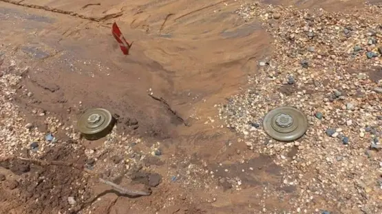 9b382e87 19c1 419f a64a