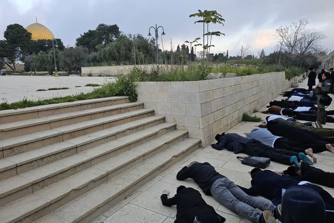 IMG 20260409 102356 577