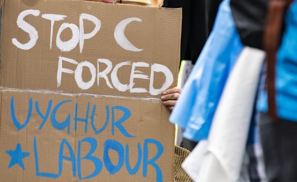 “عروض” الأزياء السريعة والعمل القسري للإيغور في الصين 6 “عروض” الأزياء السريعة والعمل القسري للإيغور في الصين