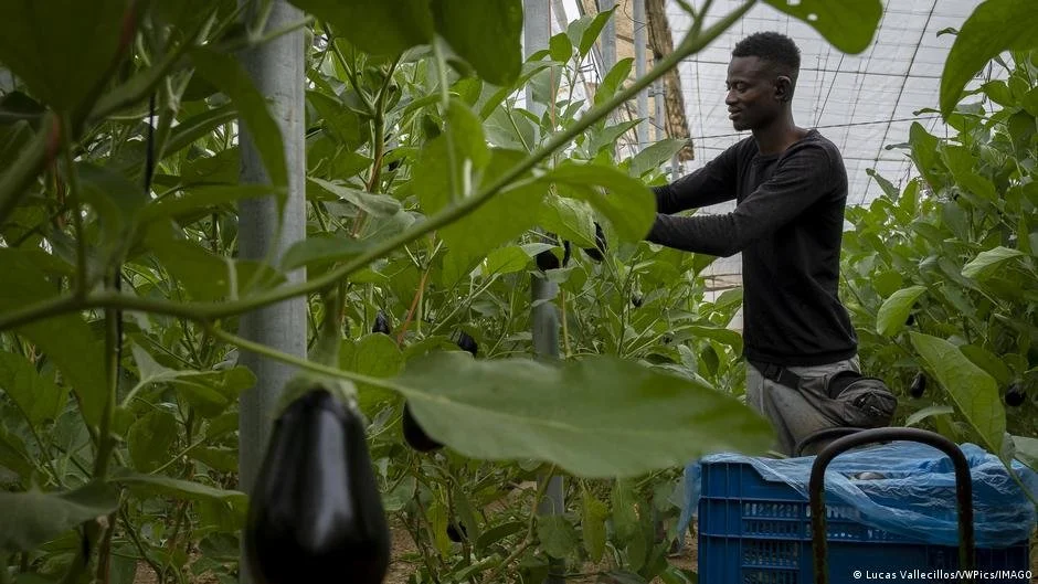 e2468e00f210ab515573d0334ab7bf9ddf801867