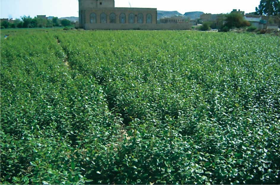 photo 2026 04 28 17 27 35