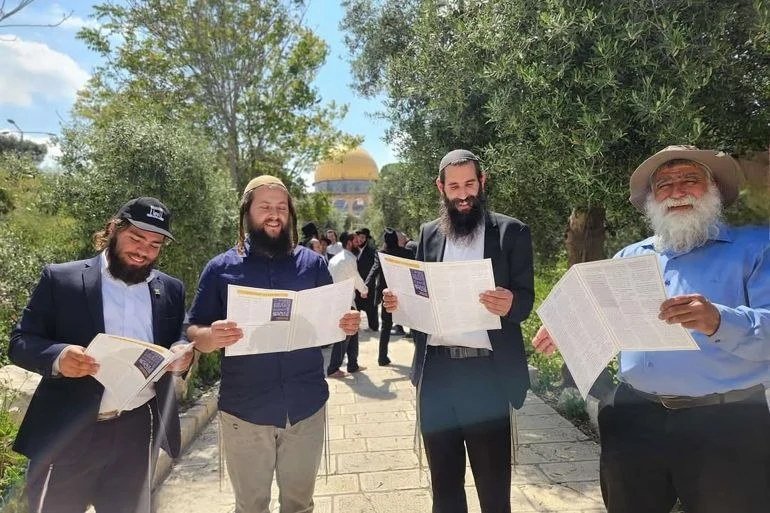 photo 5445209209625581462 x 1