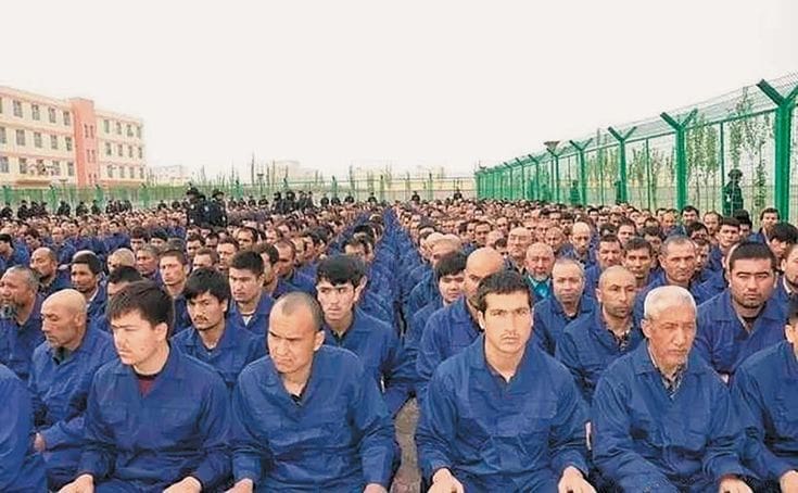 uyghurs reeducation camp Search
