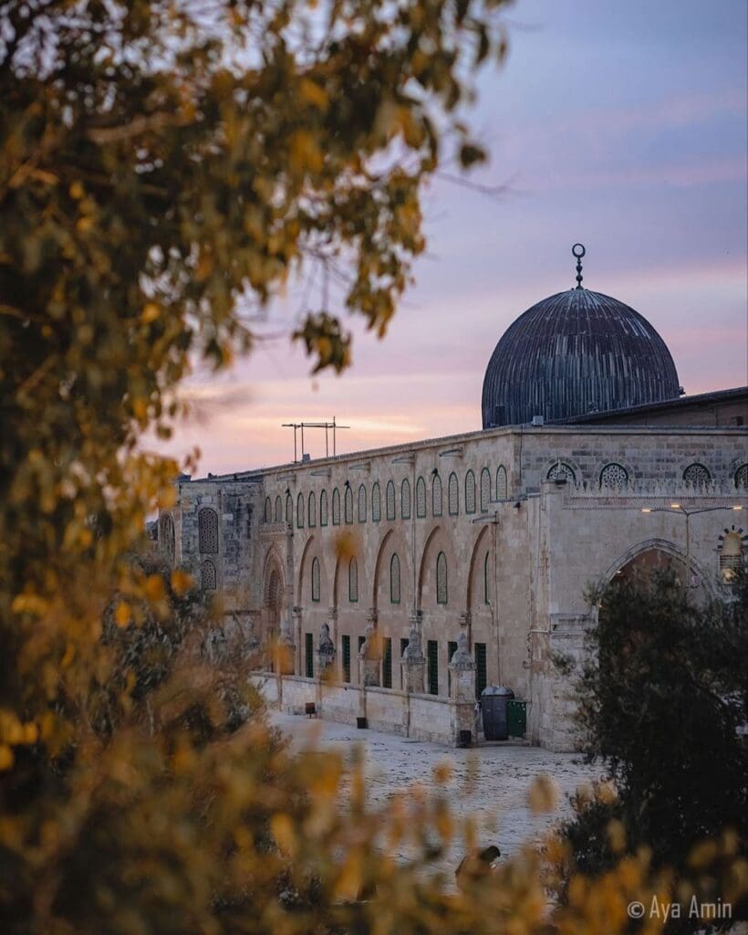 خطة أمريكية إسرائيلية لإنهاء الوصاية الأردنية على المسجد الأقصى 3 photo 2026 05 28 21 17 22