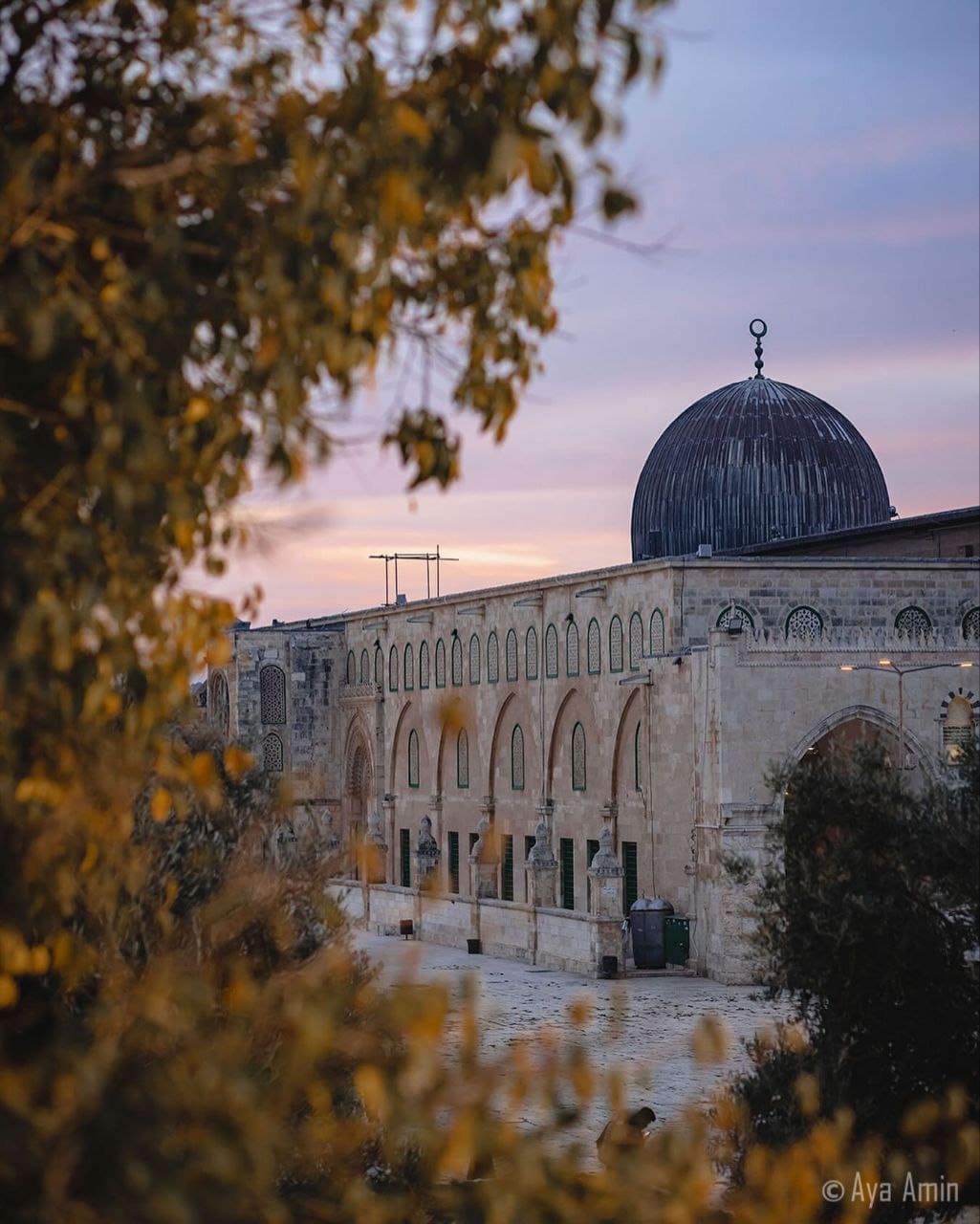 خطة أمريكية إسرائيلية لإنهاء الوصاية الأردنية على المسجد الأقصى 2 photo 2026 05 28 21 17 22